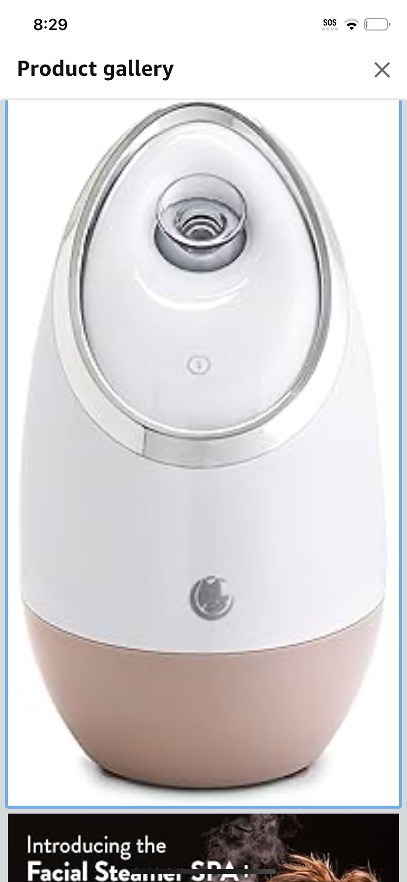 Facial Steamer Spa