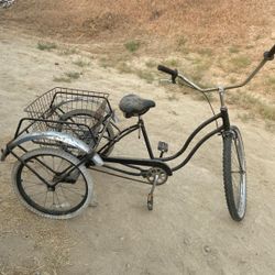 3 Wheel Bike 