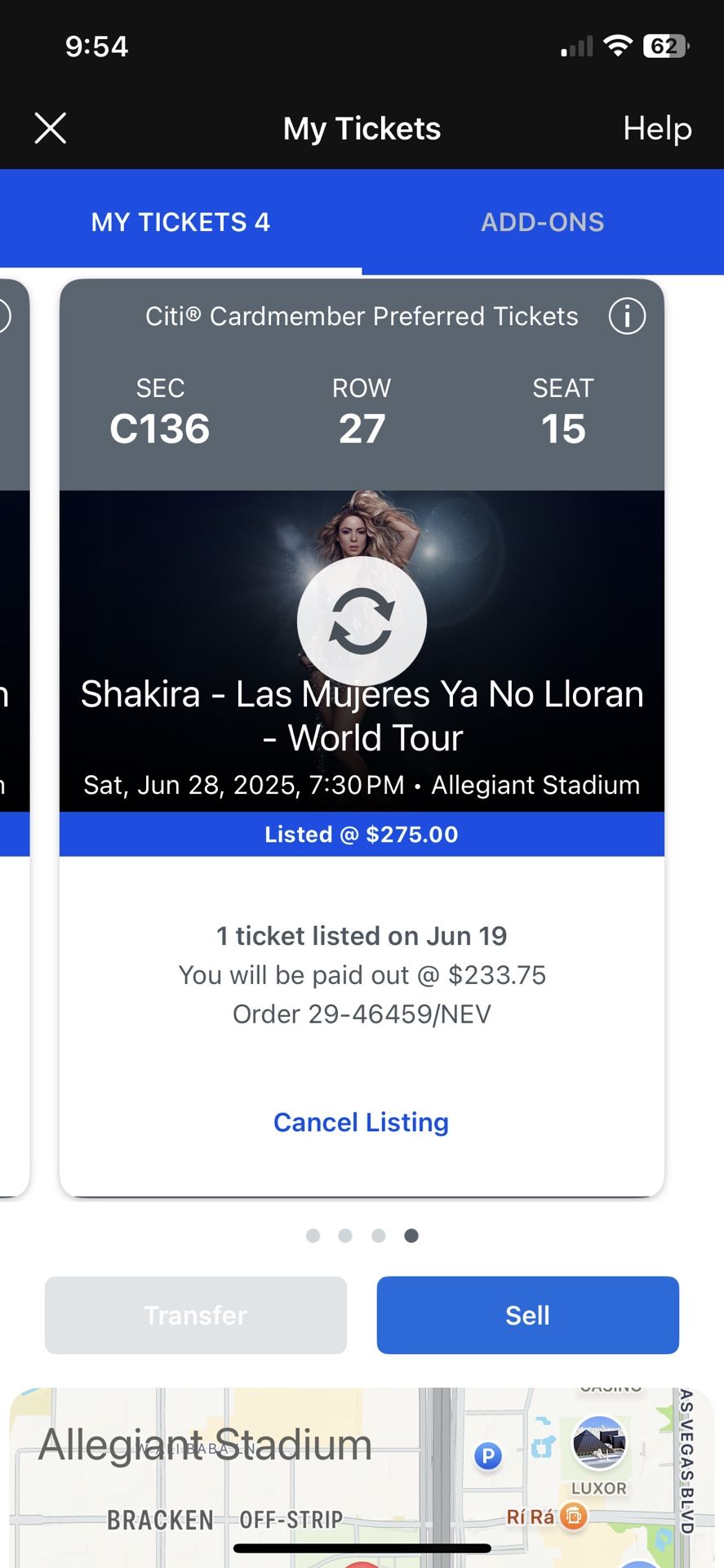 Shakira Concert