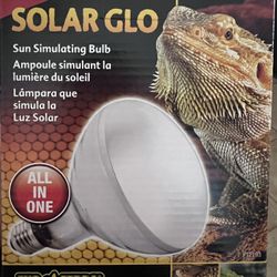 UVA/B Light Bulb And Lamp