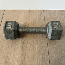 ONE 10 Lb CAP Barbell Cast Iron Hex Dumbbell 