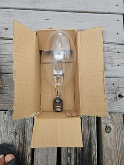Bulb