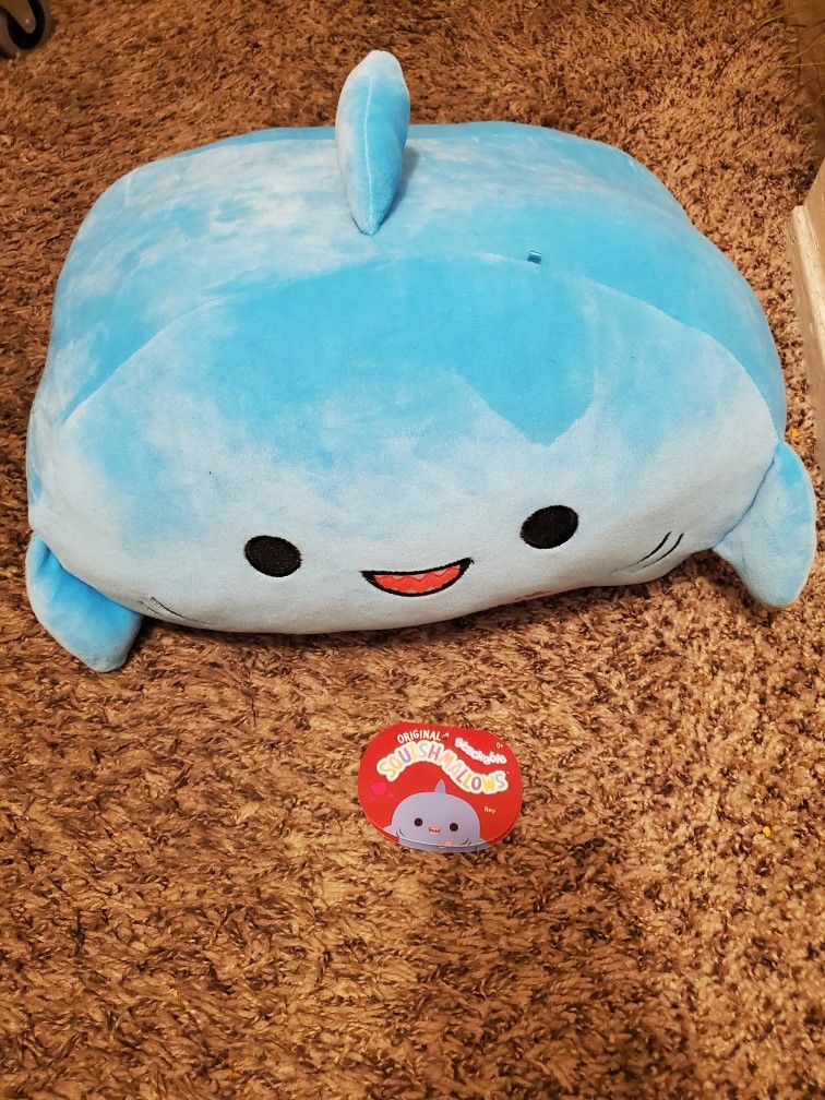 Flat Shark Squishmallow