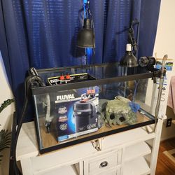 Fish Tank