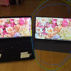 Portable Computer Monitor 