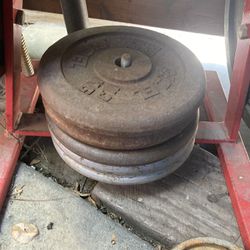 25lb Weight Plates 