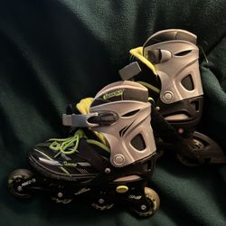 Rollerblades, Chicago Adjustable Skates