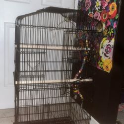 Bird Cage 