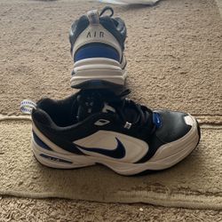Nike Air Monarch 