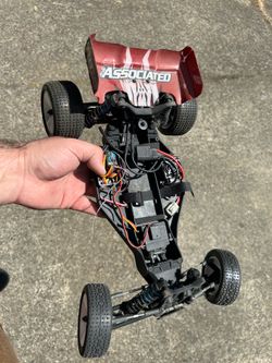 Team associated rb10
