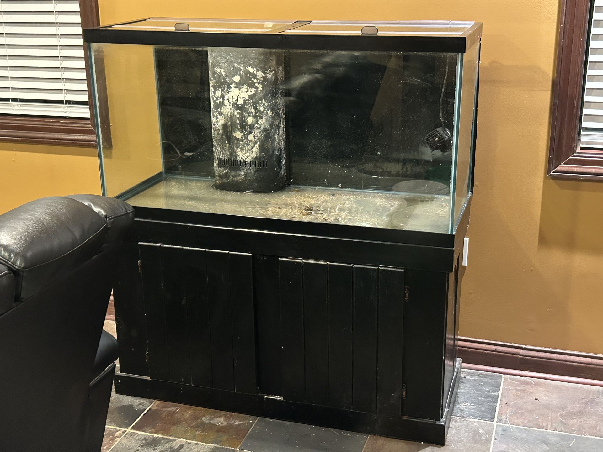 Fish Tank