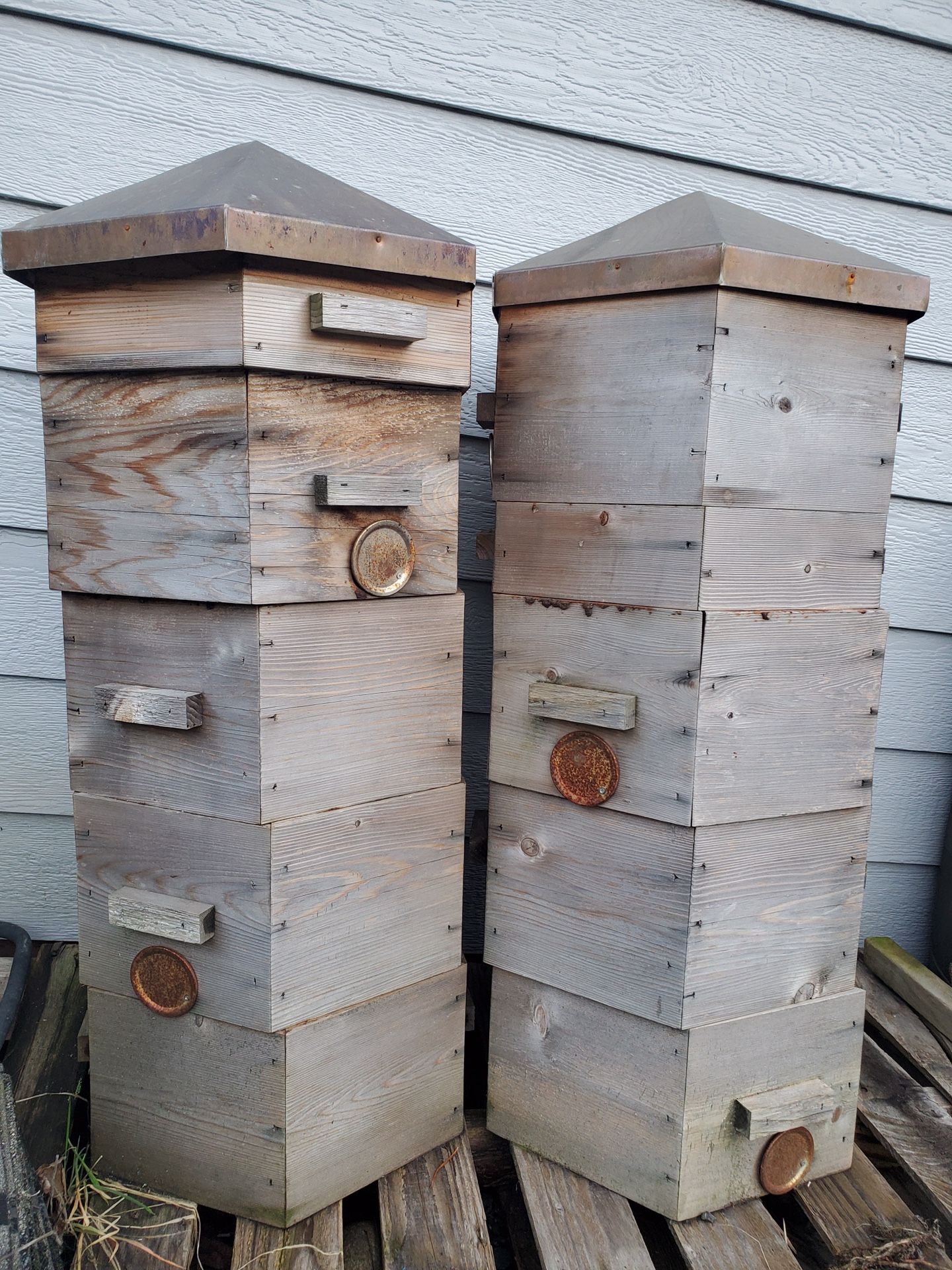 Warre Beehive