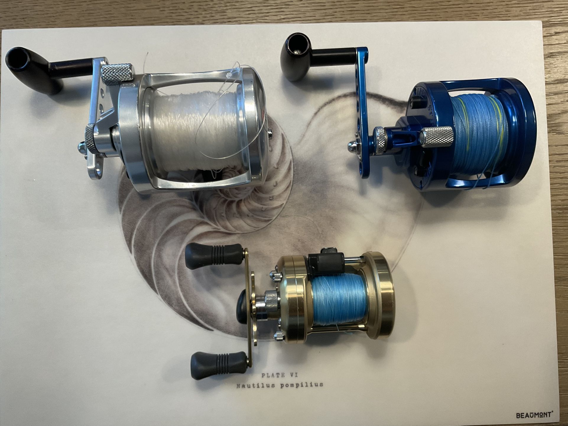 Shimano and Avet Reels for Sale (Individual Price In Listing)