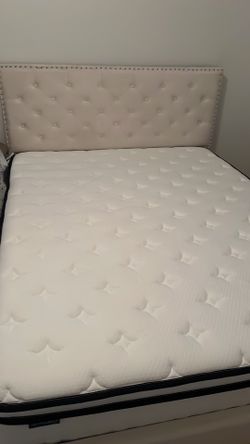 Queen Bed with Mattress - Excellent Condition