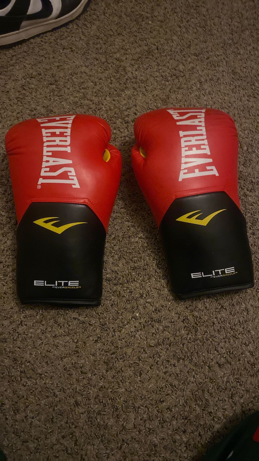 Punching Bag With Boxing Gloves ( read description
