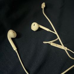 Apple Headphones