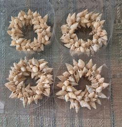 Seashell Napkin Rings Set of 4