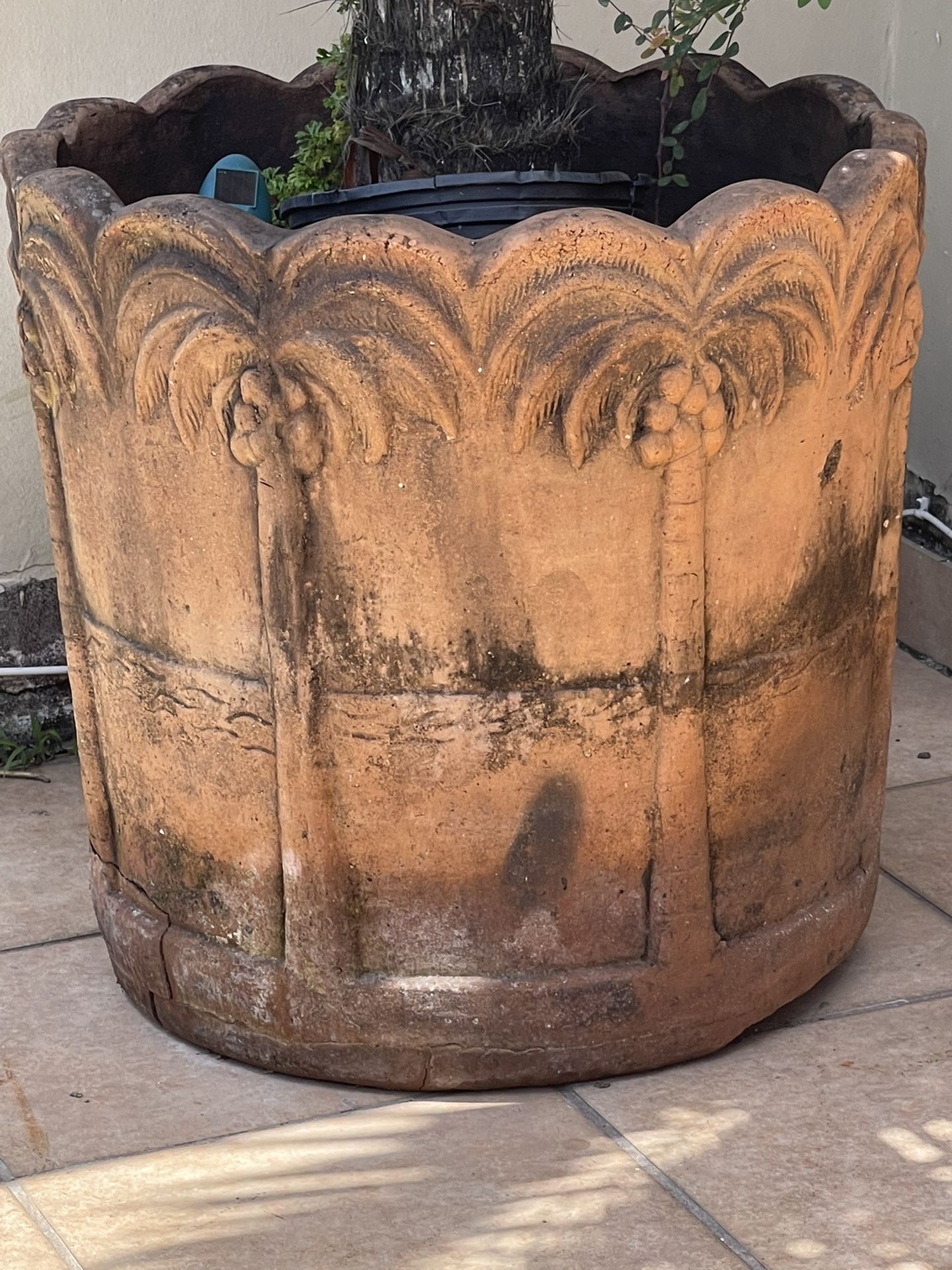 Palm Vase