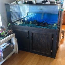 100 Gallon Fish Tank