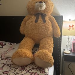 Teddy Bear 