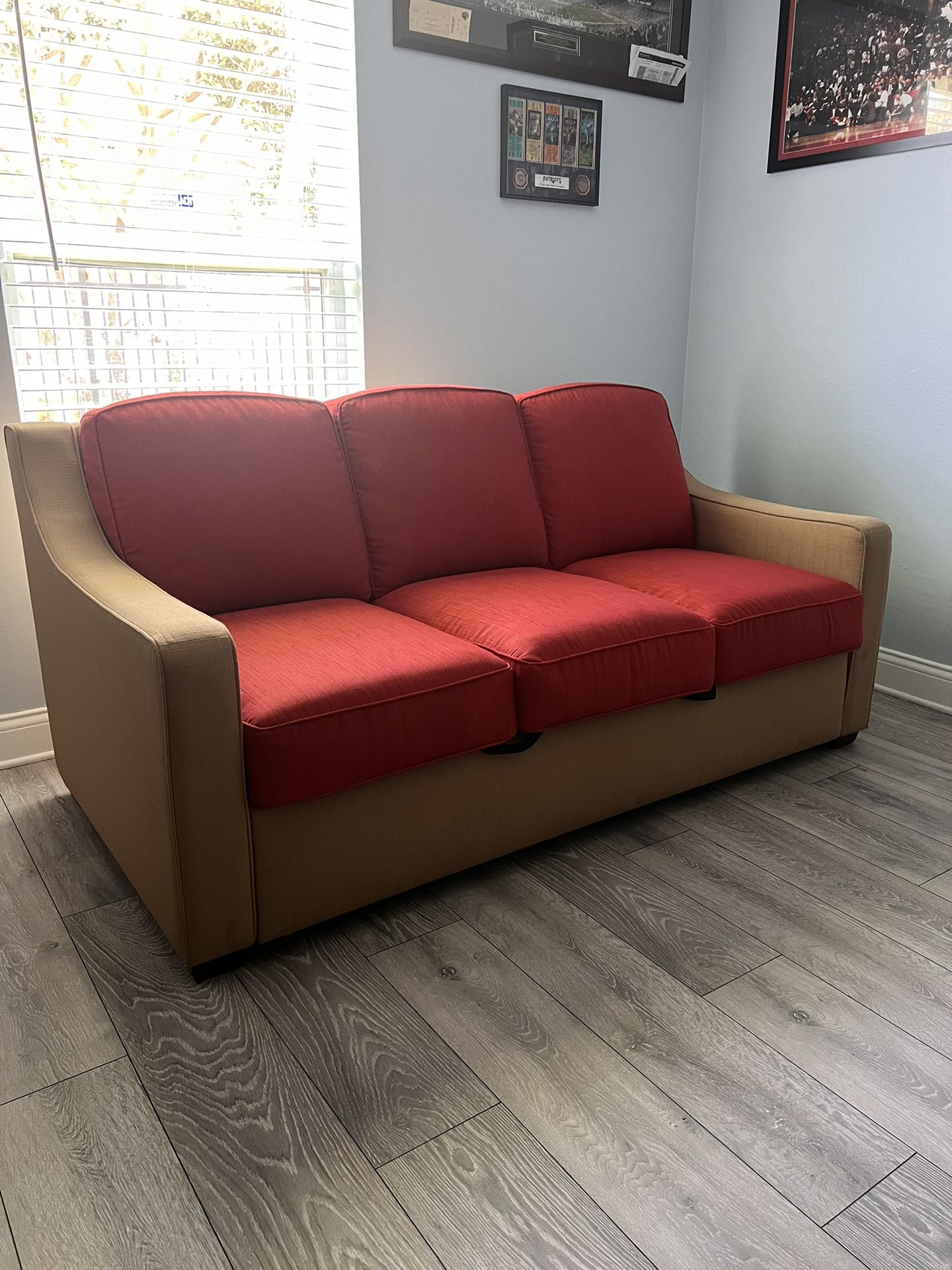 Sleeper Sofa/ Pull out Couch