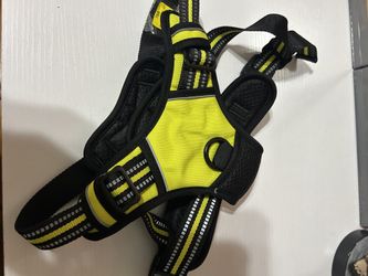 Rabbit Go No Pull Dog Harness Green Large