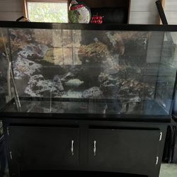 65 Gallon Aquarium 
