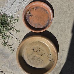 Clay Saucers For Plants 
