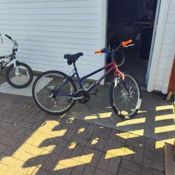 Nishiki Bravo Mountain Bike