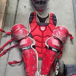 Catcher Gear Adult Size