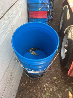 Plastic buckets