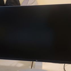 Monitor New OLG