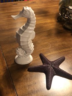Sea star and sea horse
