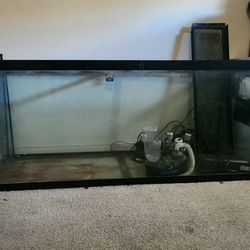 5ft Fish Tank Or Reptile Tank