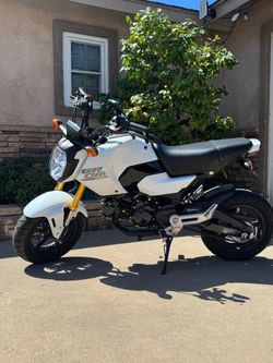 2025 Honda Grom