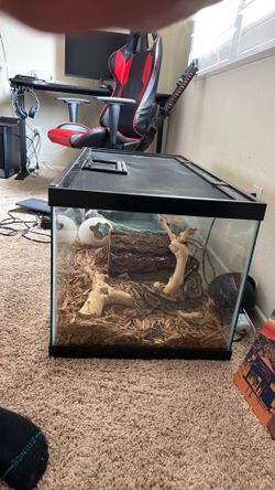 Snake tank