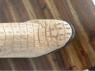 Alligator boots size 11.5