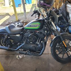 2021 Harley Davidson Black Iron