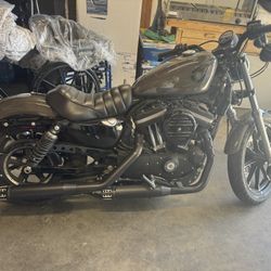 2019 Iron 883 Sportster