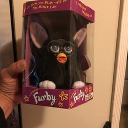 Furgy In The Box