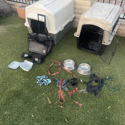 Large Breed Dog Items