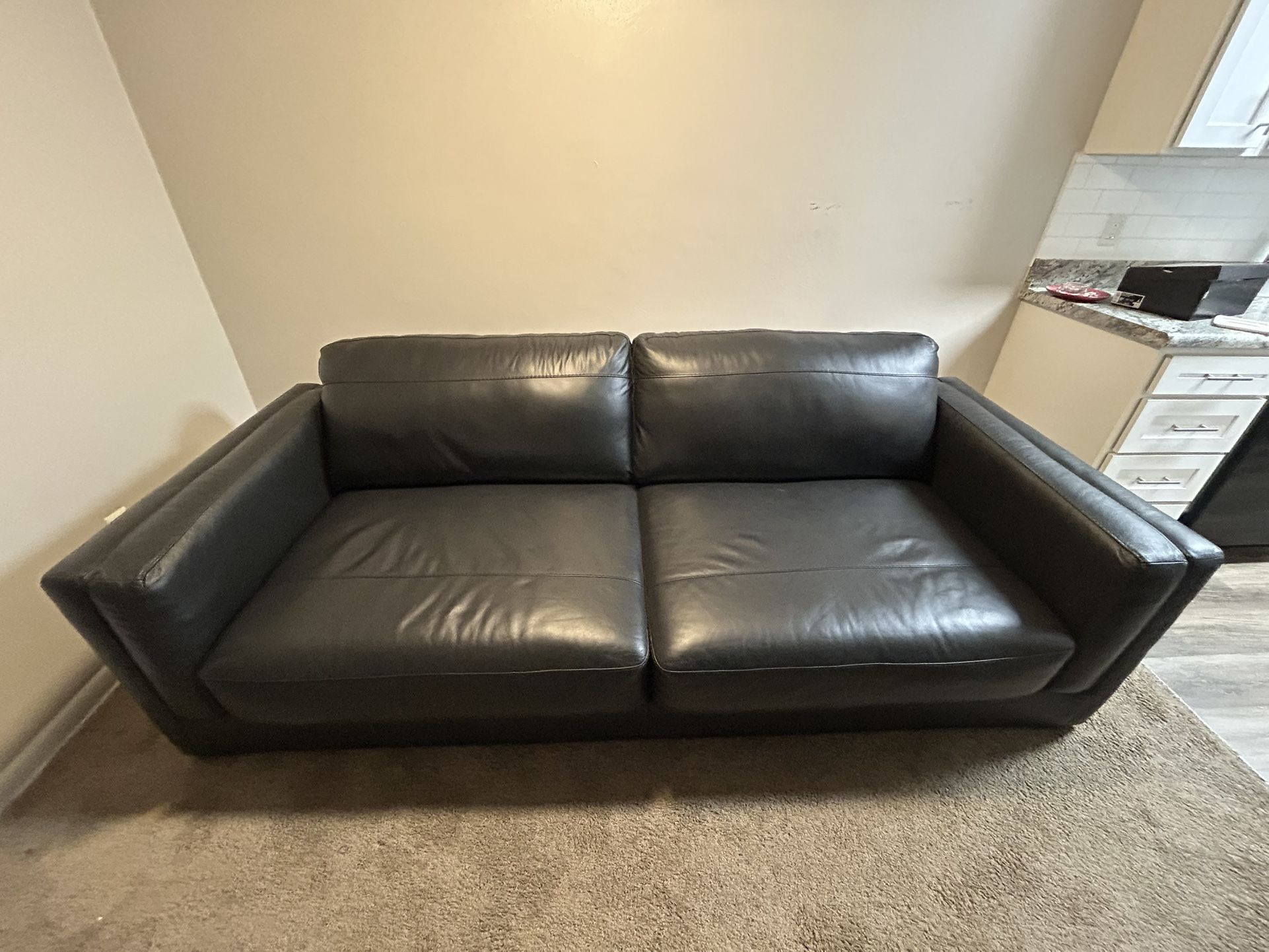 Amiata Leather Couch