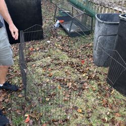 Rabbit Pen And Play Area