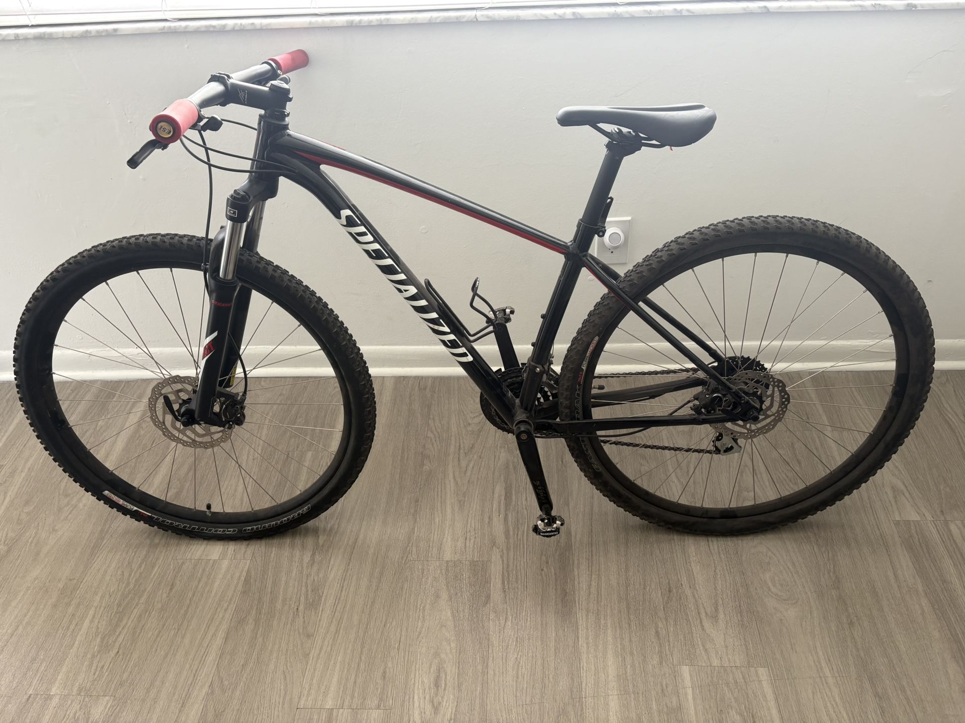 Professional Bike