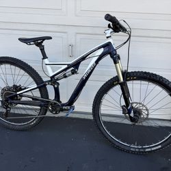 Stumpjumper 29”