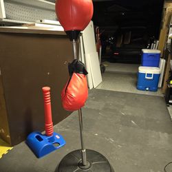 Kids Punching Bag And Gloves