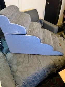 New pet steps