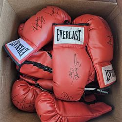 31 Pairs New Everlast Boxing Gloves Signed Professional Fighters 