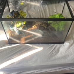  Aquariums Reptiles And Fish Decorations 