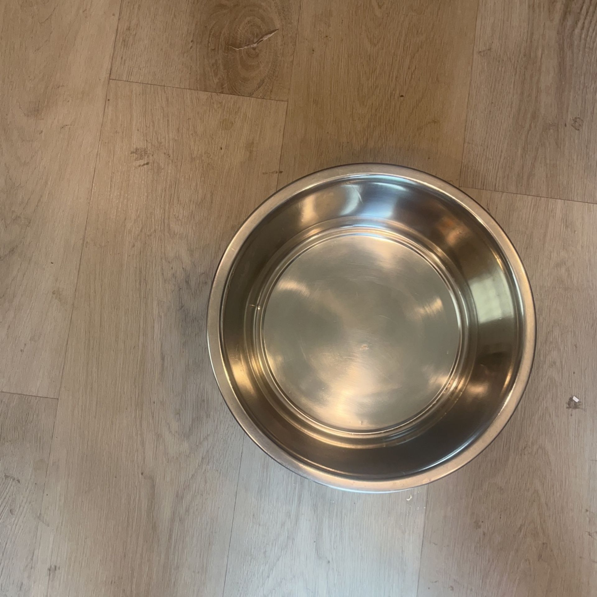 Dog 🐶 Bowl